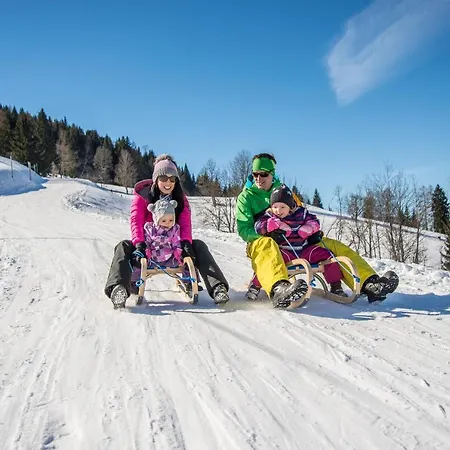 Kohlschnait-huette Апартаменты